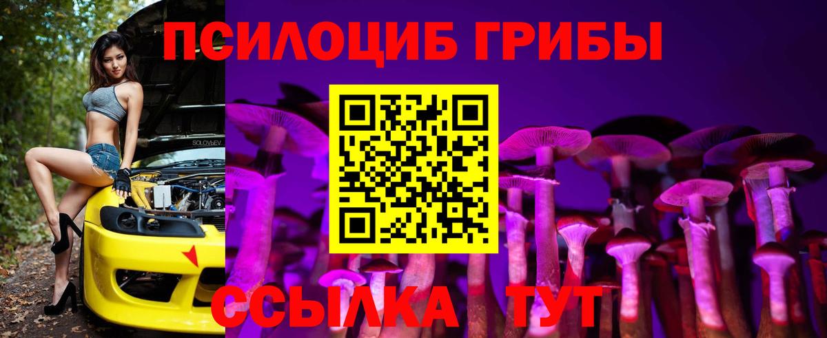 Псилоцибиновые грибы Psilocybe  Вход с VPN  Галлюциногенные грибы MAGIC MUSHROOMS  Кемерово 