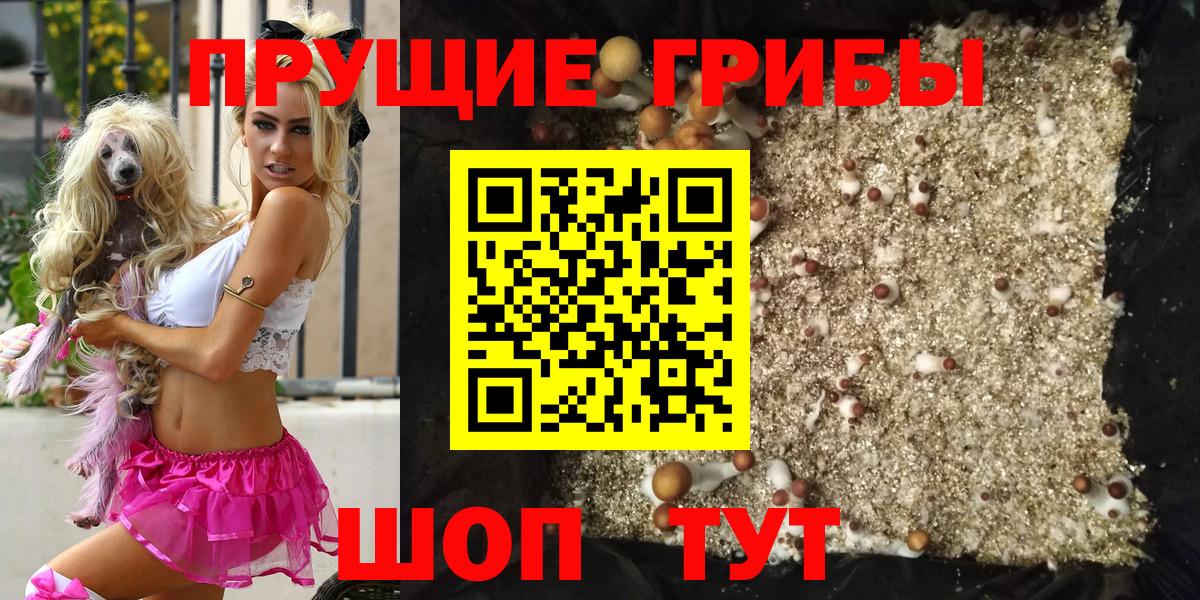 Псилоцибиновые грибы мицелий Кемерово
